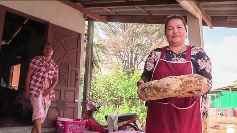 Halló 7 kilos de vómito de cachalote valuados en USD 260.000: las razones que lo convierten en un tesoro
