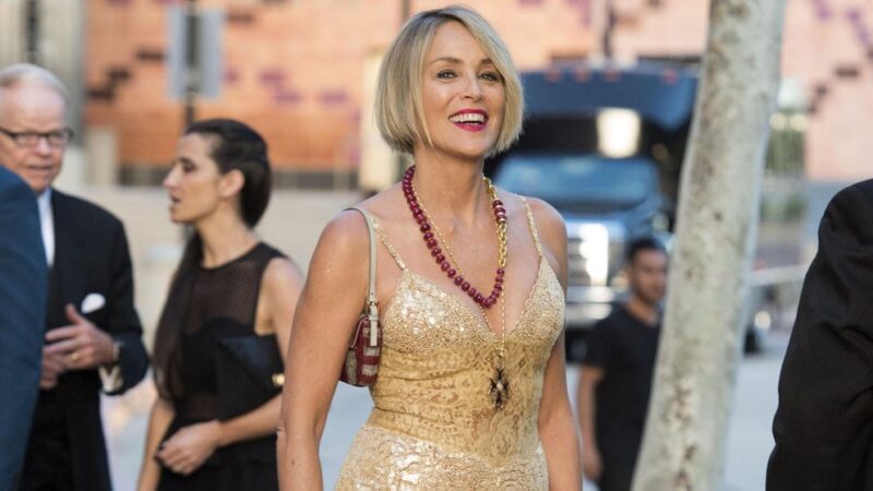 Sharon Stone confesó que un productor le dijo que se acostara con el coprotagonista de “Bajos Instintos” para generar “química”