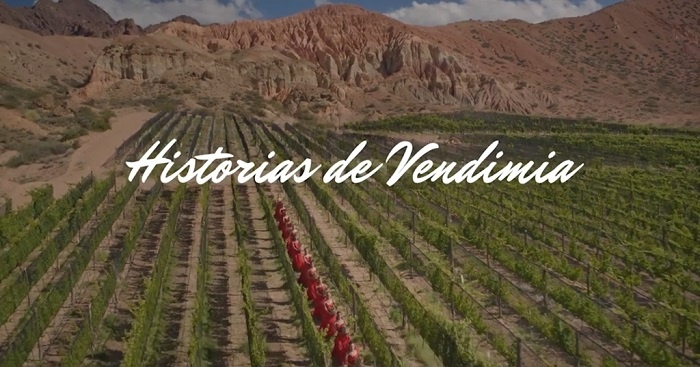 Vendimia 2021: unos 55 países ya confirmaron la proyección del film