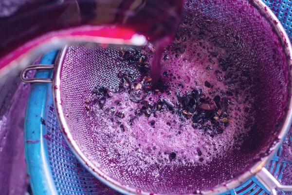 Con 34 bodegas inscriptas, amplían el plazo de la operatoria de anticipo de cosecha de uvas para de mosto y malbec