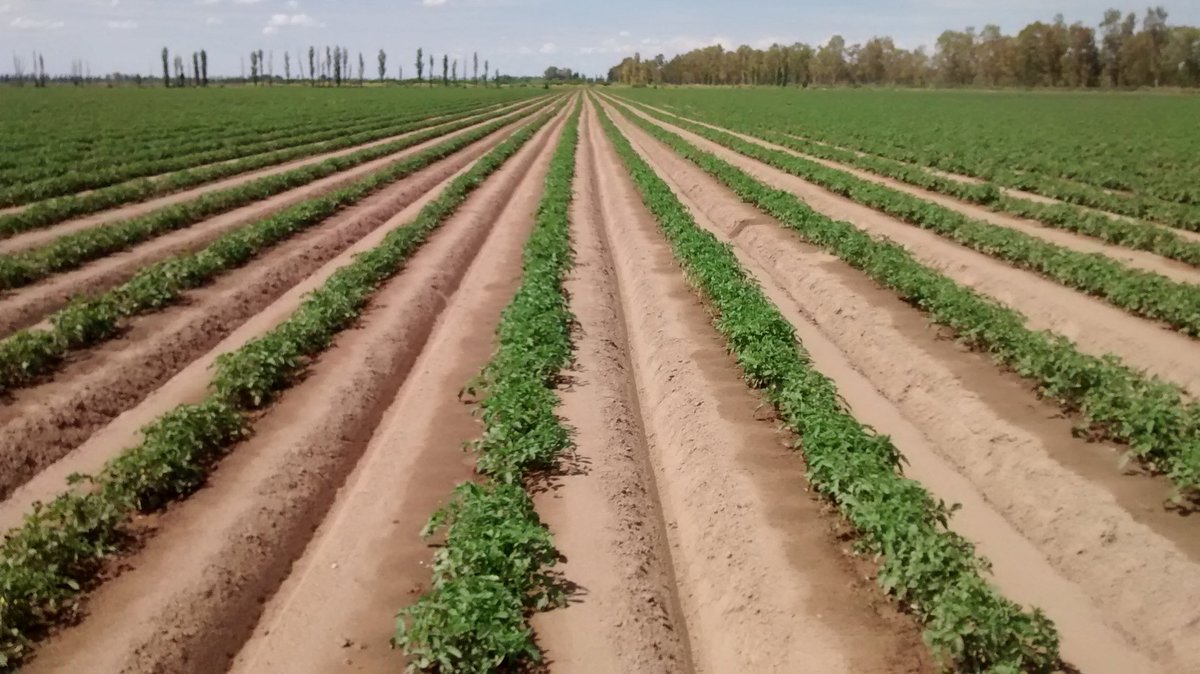 Mendoza Activa Agro: con 381 proyectos, el sector genera inversiones por más de $2.400 millones