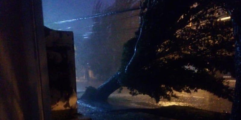 La tormenta dejó graves daños en distintos puntos del departamento