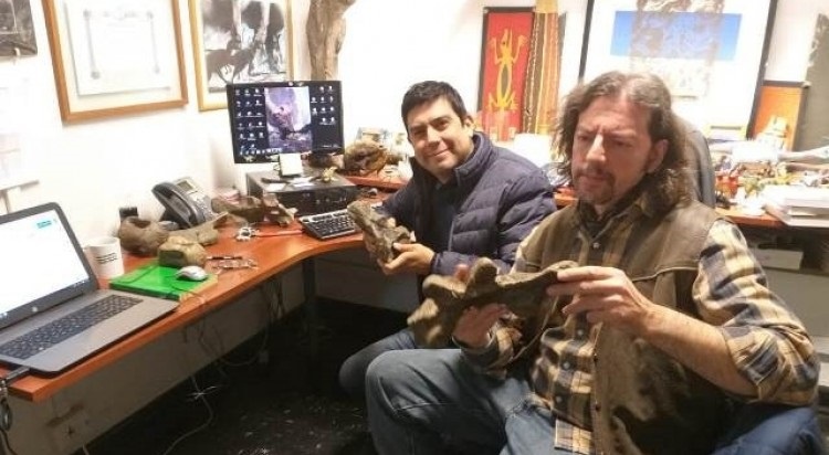 Con la colaboración de la UNCUYO descubren uno de los últimos titanosaurios en el desierto de Atacama