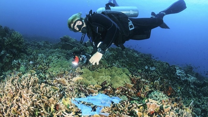 Argentina integra iniciativa mundial para acabar con la basura marina y limpiar los océanos