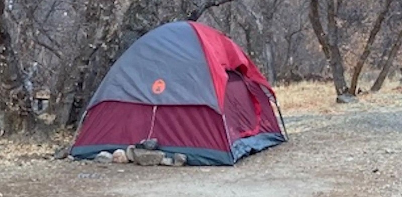 Comía pasto y vivía en una carpa: reapareció “en estado salvaje” tras seis meses de búsqueda