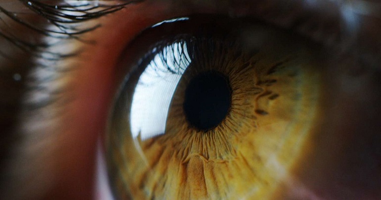 Un hombre ciego recuperó parcialmente la visión luego de 40 años