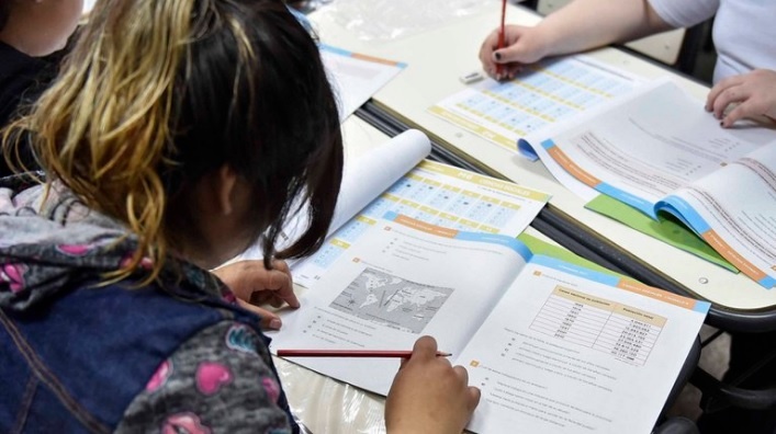 La Academia Nacional de Educación se pronunció en contra de la suspensión de las pruebas Aprender