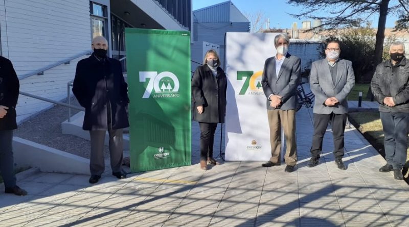 “Reconstruir mejor juntos”, se celebra el Día Internacional de las Cooperativas
