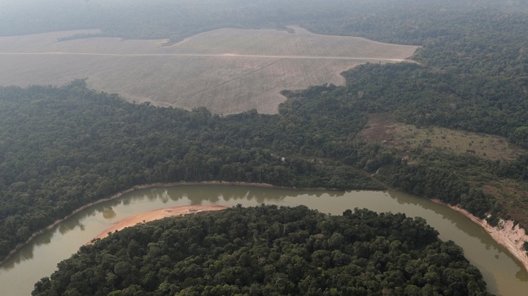 Con ‘smartphons’ y mapas satelitales logran indígenas peruanos reducir drásticamente la tala ilegal del Amazonas