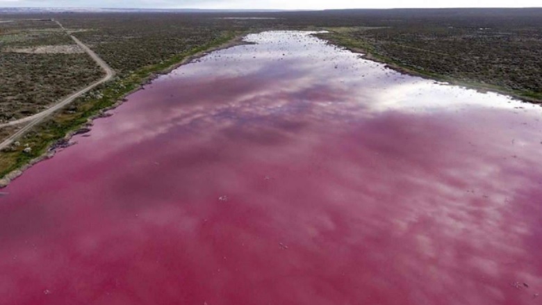 Una laguna se tiñó de rosa por los desechos industriales