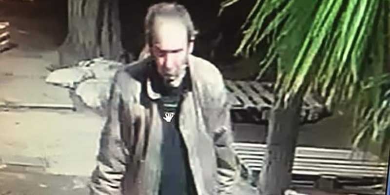 Indignación por el violento asesinato de un perro