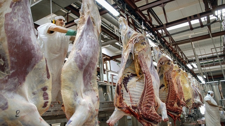El cepo a la exportación de carne ya provocó 150 despidos y peligran 10 mil puestos de trabajo