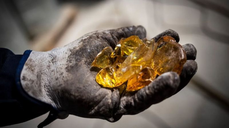 Qué es el “oro líquido” que se esconde en los bosques de España