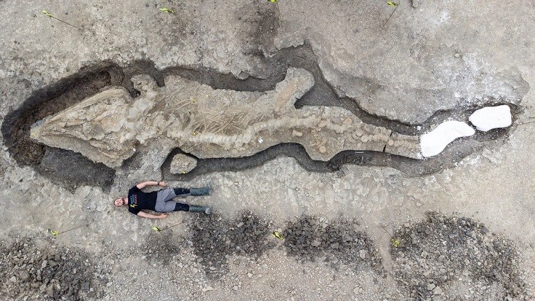 FOTOS: Hallan los restos del ‘dragón marino’ más grande jamás excavado en el Reino Unido