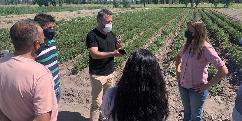 Mediante el programa “Papa en Zona Cuyo”, un productor alvearense comenzó su emprendimiento agrícola