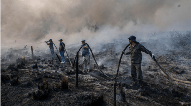 El fuego ya arrasó 800 mil hectáreas en Corrientes: “Está colaborando todo el país pero no alcanza”