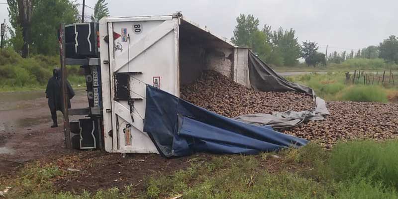 Un camión que transportaba papa a granel volcó en Monte Comán