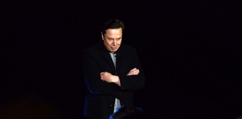 La tortura de Elon Musk: murieron más de la mitad de los monos a los que se les implantaron chips cerebrales