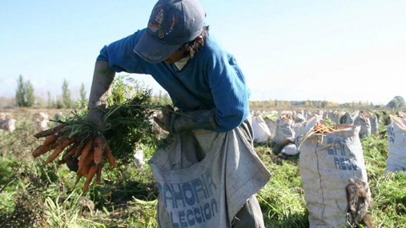 La AFIP desbarató maniobras de explotación rural en Mendoza y Jujuy