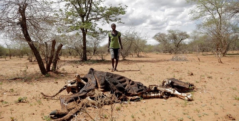 Crisis climática: medio planeta vive en riesgo y algunas zonas serán inhabitables