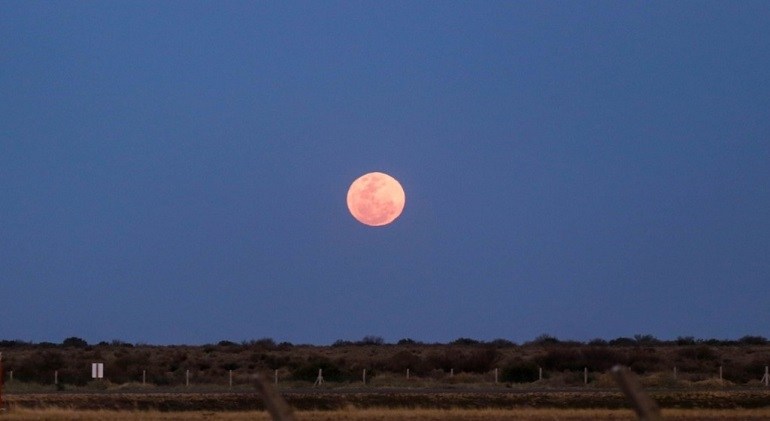 Luna rosa: cómo y cuándo verla en Argentina