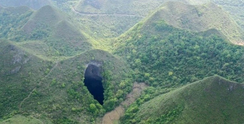 Descubren un gigantesco bosque en el interior de una montaña