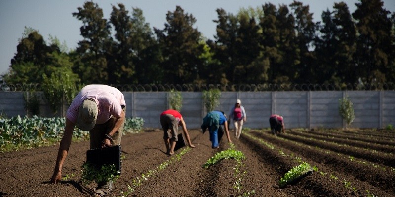 Fernández anunció una partida de U$S100 millones para promover la agricultura familiar