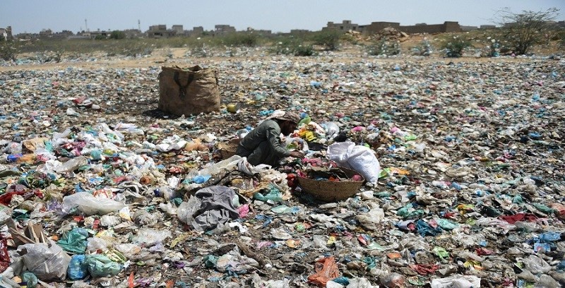 Especialistas alertan sobre el vínculo entre la degradación ambiental y la nueva era de enfermedades