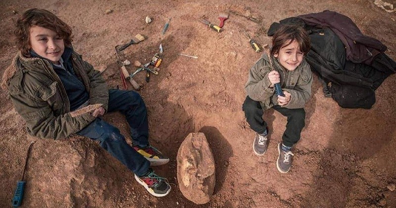 Un nene de 8 años paseaba por la playa y encontró un cráneo de 700 mil años de antigüedad