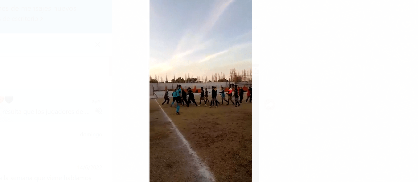 Feroz pelea en cancha de Bowen tras el partido con Colón