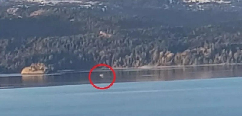 Video: vecinos afirman que reapareció Nahuelito, el monstruo marino de Bariloche