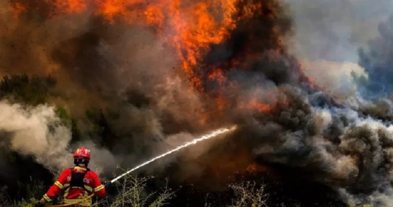 Ola de calor en Europa: devastadores incendios forestales se propagan en el Mediterráneo