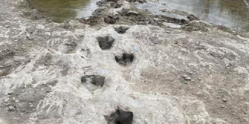 El asombroso hallazgo de las huellas de un dinosaurio que quedaron expuestas por la sequía en Estados Unidos