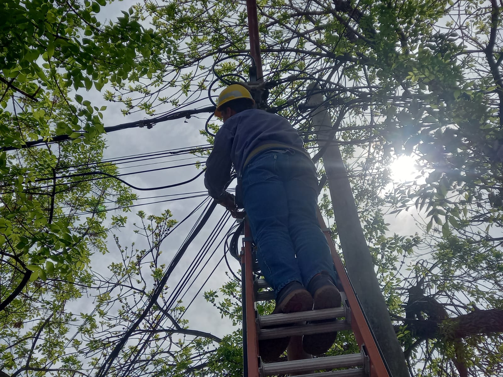 Cecsagal, continúa expandiendo su gran red de Fibra Óptica