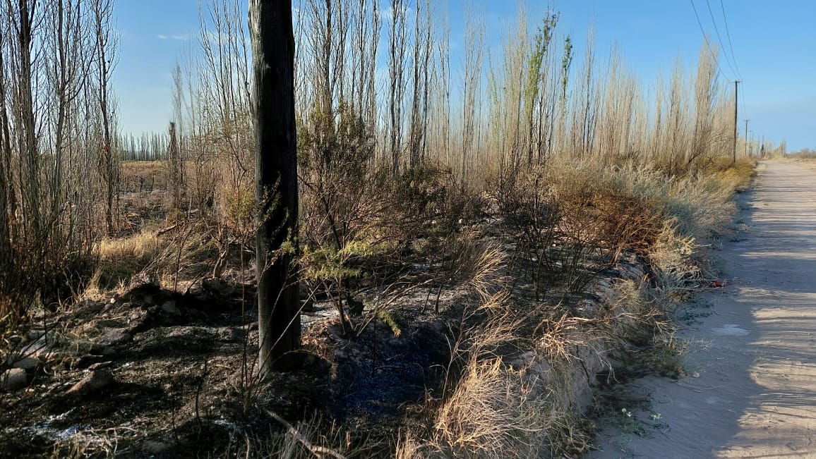 Desde Cecsagal se pide tomar conciencia sobre el daño que genera el fuego