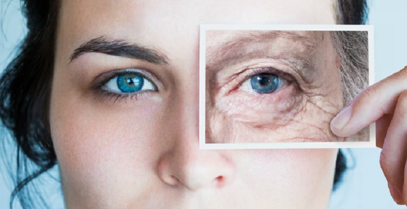 ¿Se puede revertir el envejecimiento?: el importante hallazgo de un grupo de científicos de Harvard