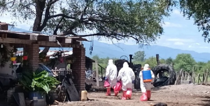 Gripe aviar: detectaron casos positivos en dos provincias más y refuerzan los controles en las fronteras