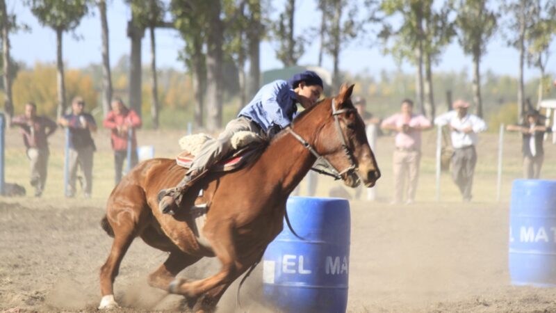 Exitoso 2° Torneo Nacional de Destrezas Criollas