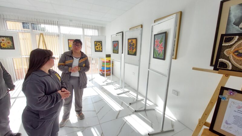 El Centro de Día Nuevo Sol lleva adelante una expo de Cuadros de Semilla