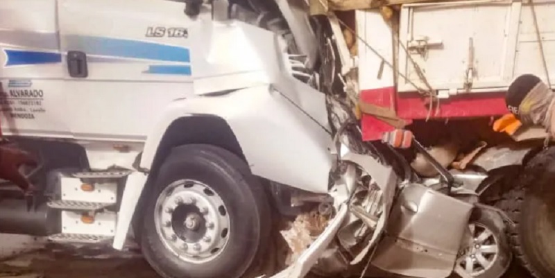 El Zonda provocó dos muertes, derribó más de 300 árboles y causó numerosos daños