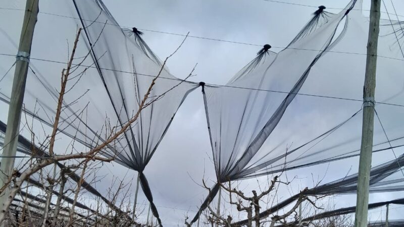 Mendoza amplía los montos para la instalación de malla antigranizo