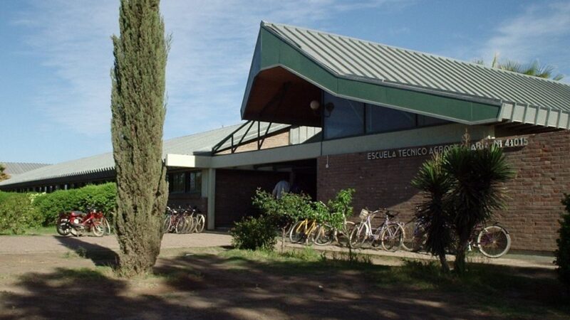 Se acercan los intercolegiales de la escuela Seizo Hoshi