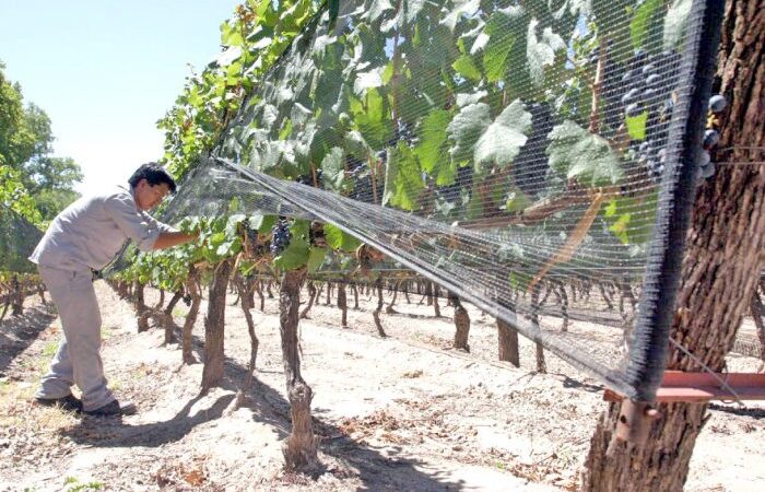 Se presentó el Programa CULTIVAR