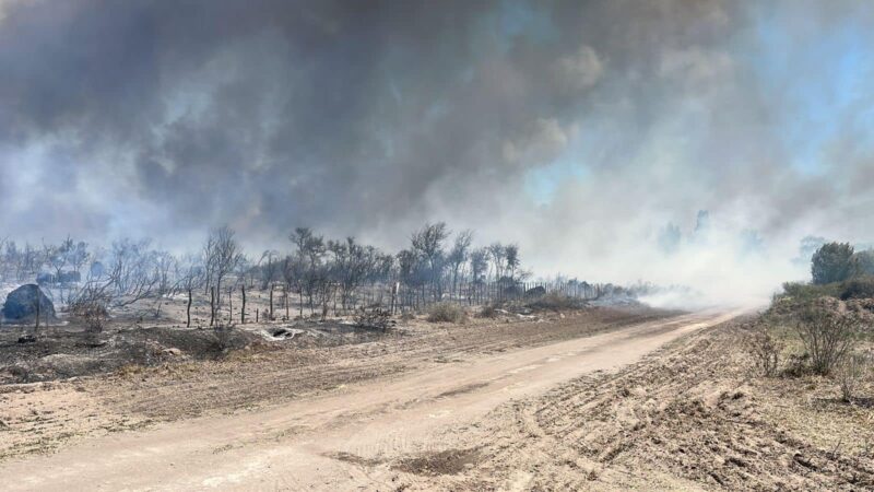 Incendio de gran magnitud afectó varias hectáreas en Mendoza