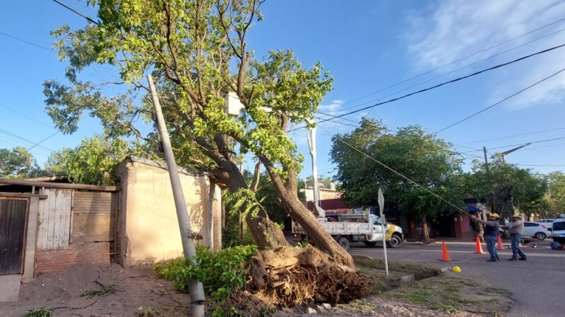 El viento provocó numerosos daños en nuestro departamento