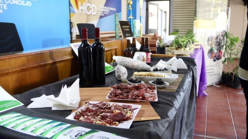 Este miércoles se realizará la 4° Expo EtaCarmensa