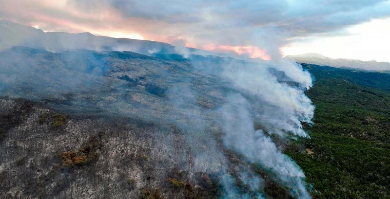 Tragedia ambiental en el Parque Nacional Los Alerces 600 hectáreas consumidas por incendio “fuera de control”