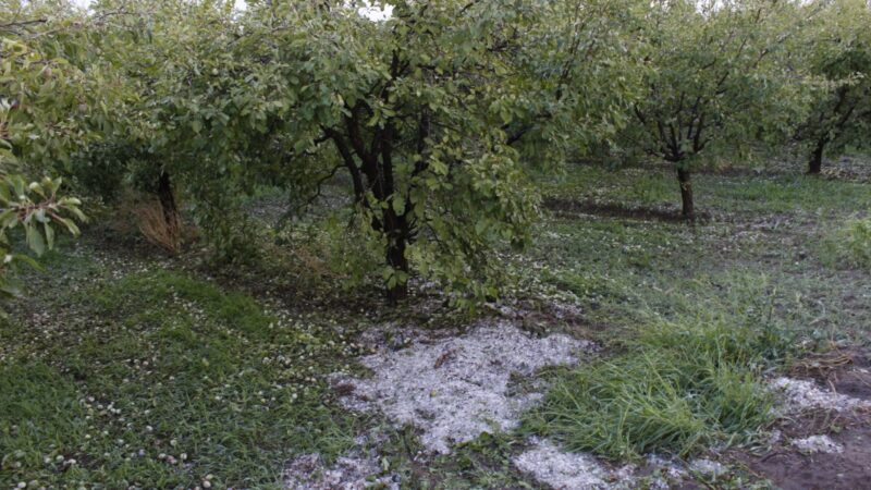 La tormenta afectó la zona productiva del departamento