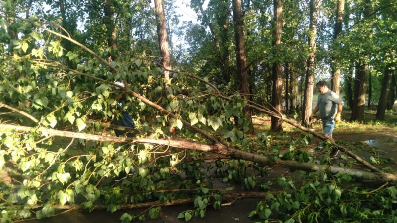 30 familias fueron asistidas por la tormenta