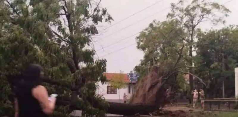 Feroz tormenta de granizo azotó a Maipú y Luján por más de 20 minutos